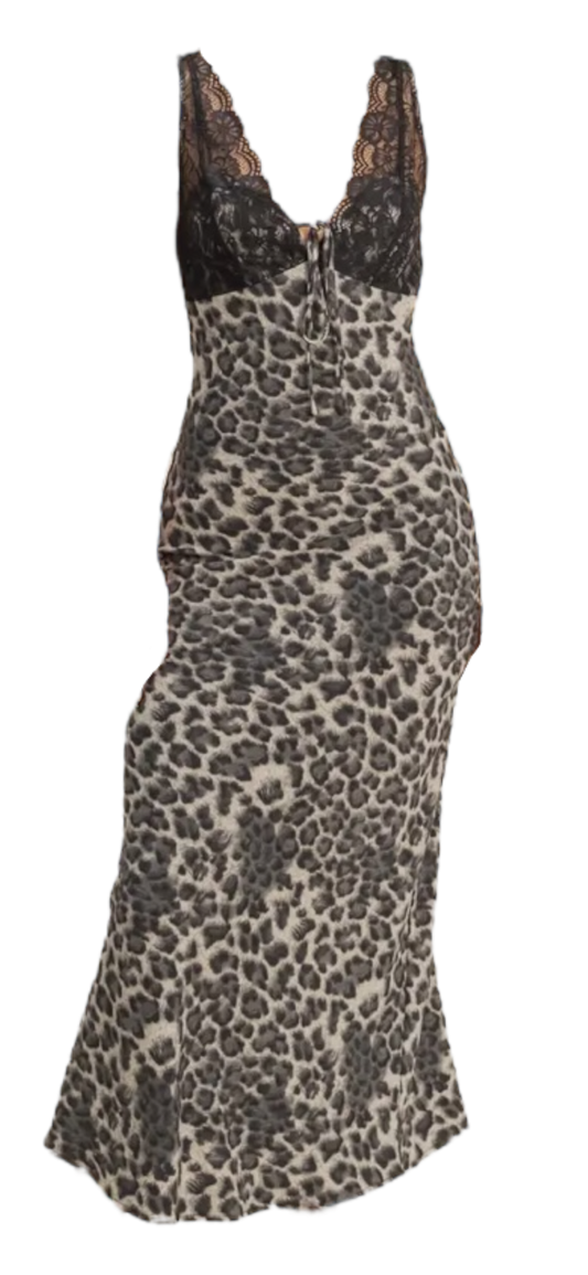 Nothing But Leopard Long Mesh Dress